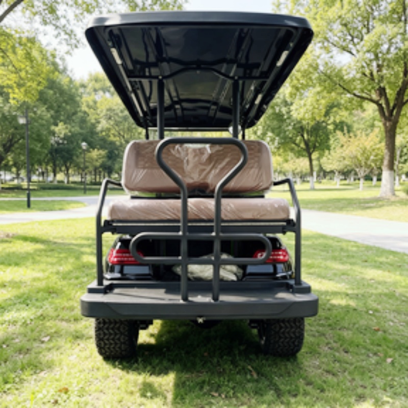 Golf Cart 2 Seater Electric Go – Golf Bag Stand Cart recenzja i cena